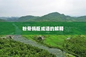 粉骨捐躯成语的解释