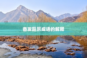 奋发蹈厉成语的解释