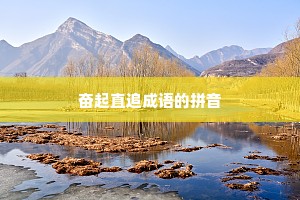 奋起直追成语的拼音