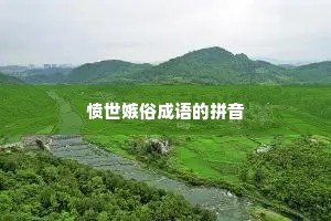 愤世嫉俗成语的拼音