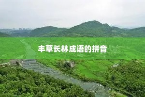 丰草长林成语的拼音