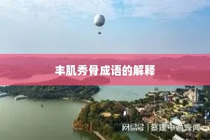 丰肌秀骨成语的解释