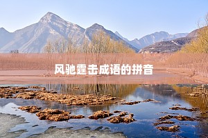 风驰霆击成语的拼音