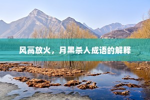 风高放火，月黑杀人成语的解释
