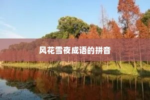 风花雪夜成语的拼音