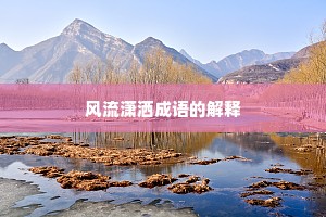 风流潇洒成语的解释