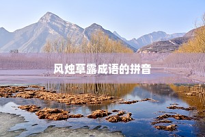 风烛草露成语的拼音
