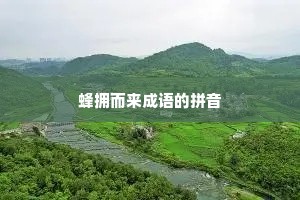蜂拥而来成语的拼音