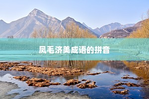 凤毛济美成语的拼音