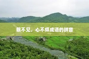 眼不见，心不烦成语的拼音