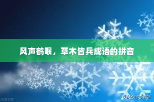 风声鹤唳，草木皆兵成语的拼音