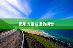 凤引九雏成语的拼音