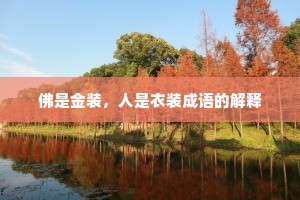 佛是金装，人是衣装成语的解释