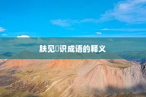 肤见謭识成语的释义