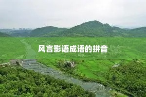 风言影语成语的拼音