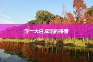 浮一大白成语的拼音