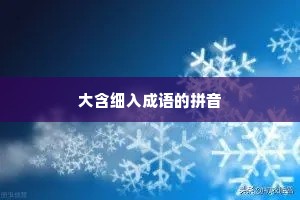 大含细入成语的拼音