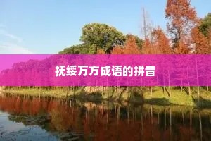 抚绥万方成语的拼音