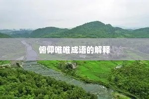 俯仰唯唯成语的解释