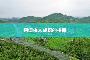俯仰由人成语的拼音