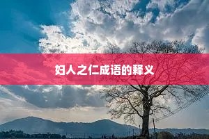 妇人之仁成语的释义