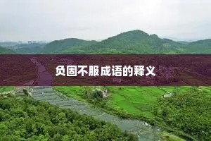 负固不服成语的释义
