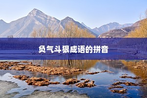 负气斗狠成语的拼音