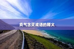 负气含灵成语的释义