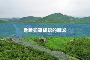 赴险如夷成语的释义
