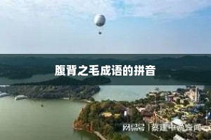 腹背之毛成语的拼音