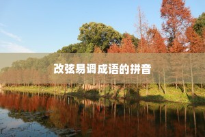 改弦易调成语的拼音