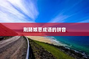 刚肠嫉恶成语的拼音