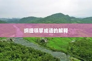 纲提领挈成语的解释