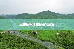 高明远识成语的释义