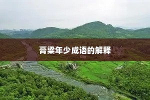 膏粱年少成语的解释
