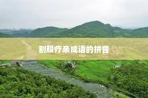 割股疗亲成语的拼音