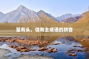 冤有头，债有主成语的拼音